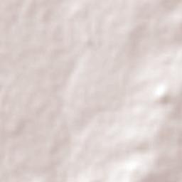 Wolmaransstad Terrain Map