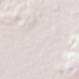 Carmen del Paraná Terrain Map