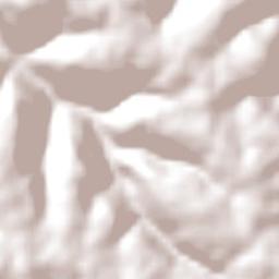 Derrubadas Terrain Map