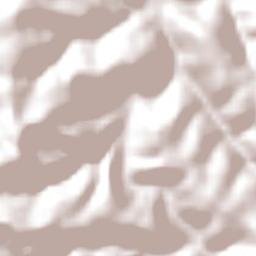 Alpestre Terrain Map