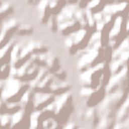 Canelinha Terrain Map