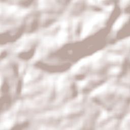 Curitibanos Terrain Map