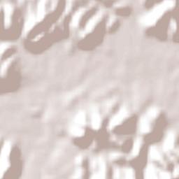 São João Batista Terrain Map