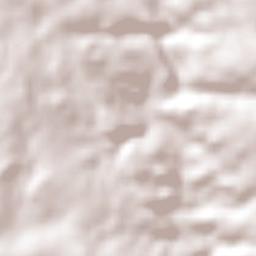 Campo Viera Terrain Map