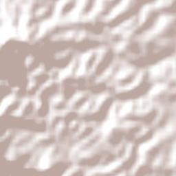 Cashmere Terrain Map