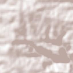 Veinticinco de Mayo Terrain Map