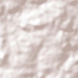 Campos Novos Terrain Map