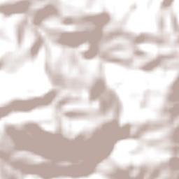 Vidal Ramos Terrain Map