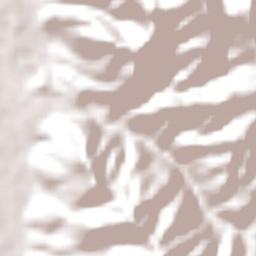 Tierra Amarilla Terrain Map