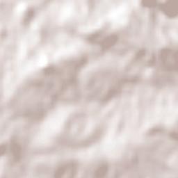 Bonpland Terrain Map