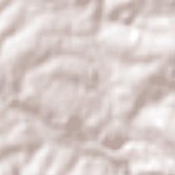 Campo Ramón Terrain Map