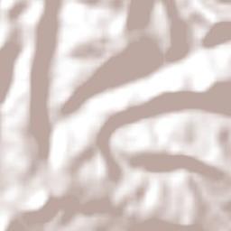 Rodeio Bonito Terrain Map