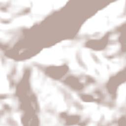 Leoberto Leal Terrain Map