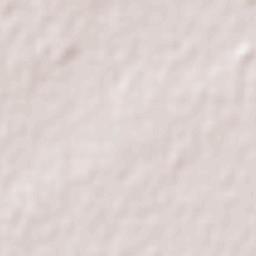 San Luis del Palmar Terrain Map