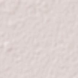 Departamento de San Luis del Palmar Terrain Map