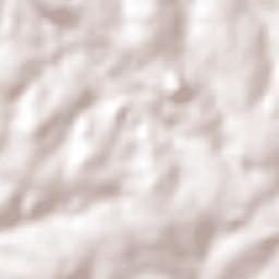 Guaraní Terrain Map