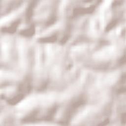 Doutor Maurício Cardoso Terrain Map