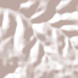 Trindade do Sul Terrain Map