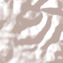 Entre Rios do Sul Terrain Map