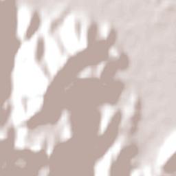 Biguaçu Terrain Map