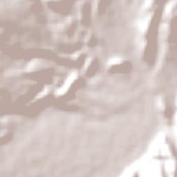 La Puerta de San José Terrain Map