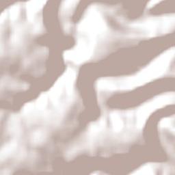 Bom Progresso Terrain Map