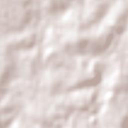 Eight Mile Plains Terrain Map