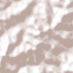 Cerro Grande Terrain Map