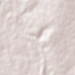 uMkhanyakude District Municipality Terrain Map