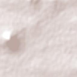 Westbrook Terrain Map