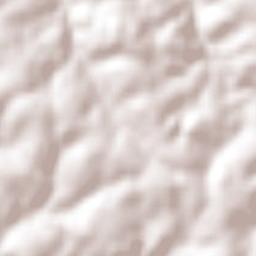 Dois Irmãos das Missões Terrain Map