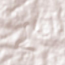 Forestdale Terrain Map