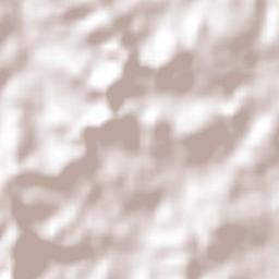 Campinas do Sul Terrain Map