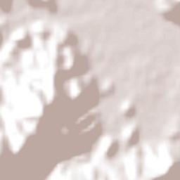 Santo Amaro da Imperatriz Terrain Map