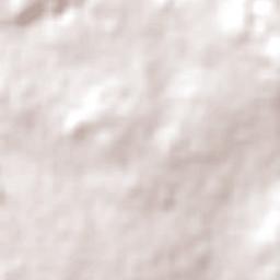 Pittsworth Terrain Map