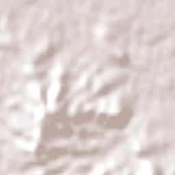 Loganholme Terrain Map