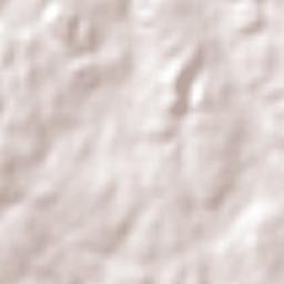 San Carlos Terrain Map