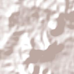 Bahrs Scrub Terrain Map