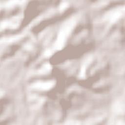 Departamento de San Javier Terrain Map