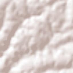 Coronel Bicaco Terrain Map