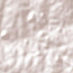 Cerro Negro Terrain Map