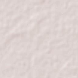 Beltrán Terrain Map