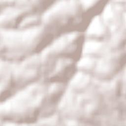 Santo Augusto Terrain Map