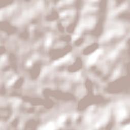 Getúlio Vargas Terrain Map