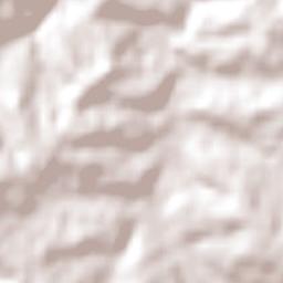 Cândido Godói Terrain Map