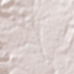 Los Varela Terrain Map