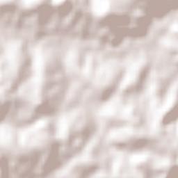 Ipiranga do Sul Terrain Map