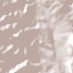 San Antonio Terrain Map