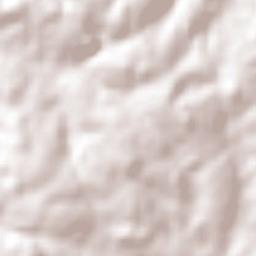 Senador Salgado Filho Terrain Map