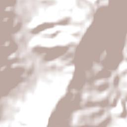 Canungra Terrain Map